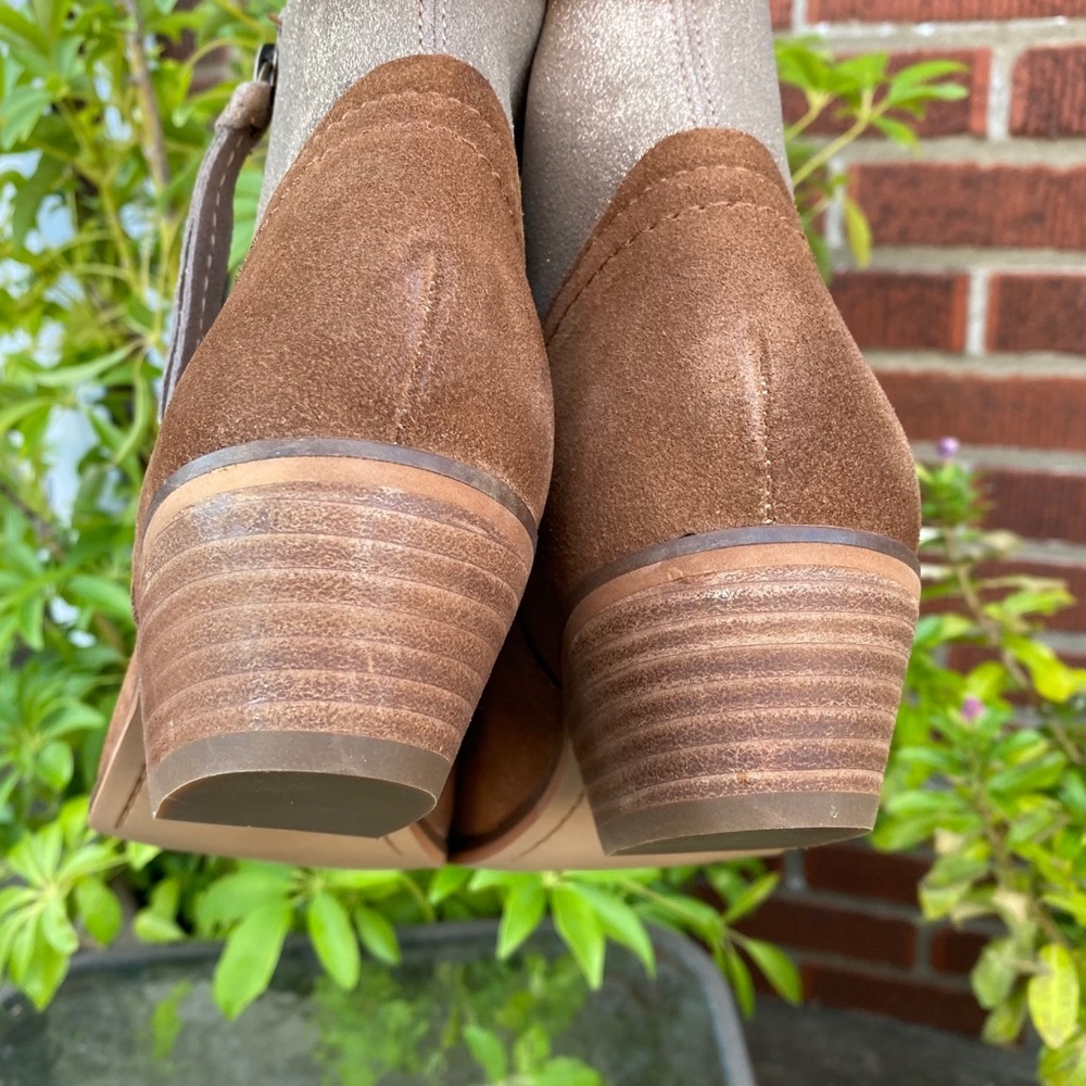 🆕 Frye and Co. Women's Rubie Zip Ankle Boot - Picture 6 of 11